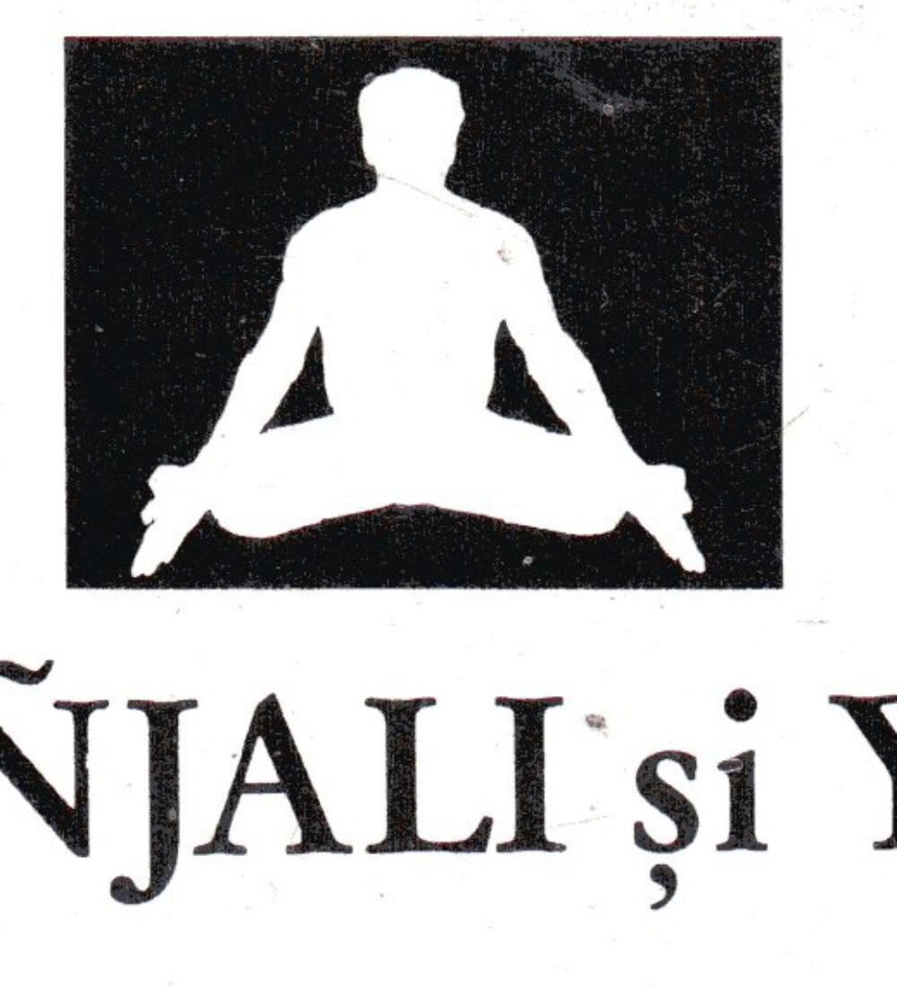 Cercetarea tehnicilor spirituale panindiene în „Patañjali și Yoga” de Mircea Eliade
