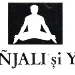 Cercetarea tehnicilor spirituale panindiene în „Patañjali și Yoga” de Mircea Eliade