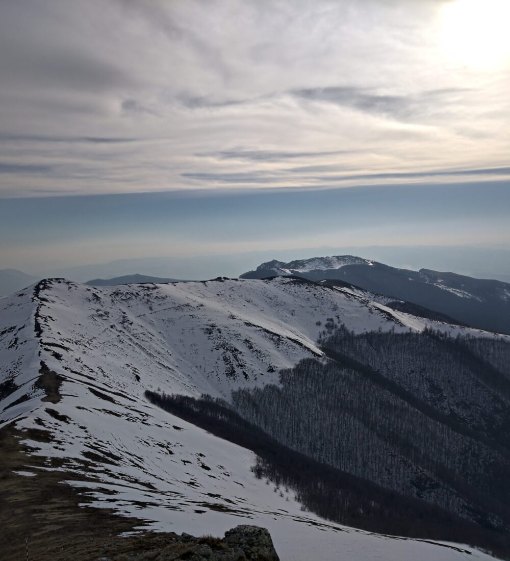 Primăvara minunată se cunoaște în Munții Cernei după Zglivit și Zglivar