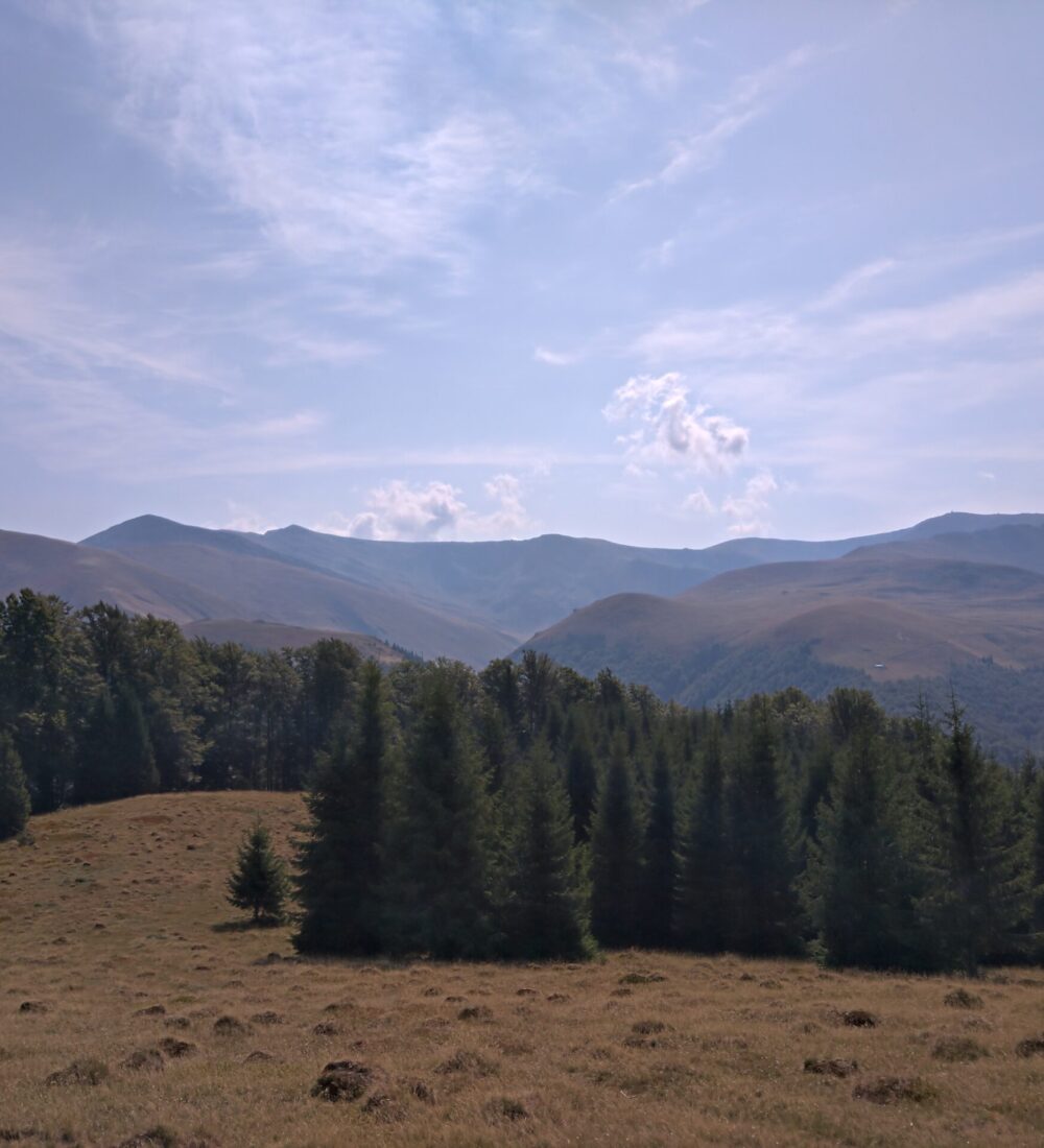 Munții Țarcu: vârfurile Țarcu, Căleanu, Brusturu sau dând ocol Țarcului