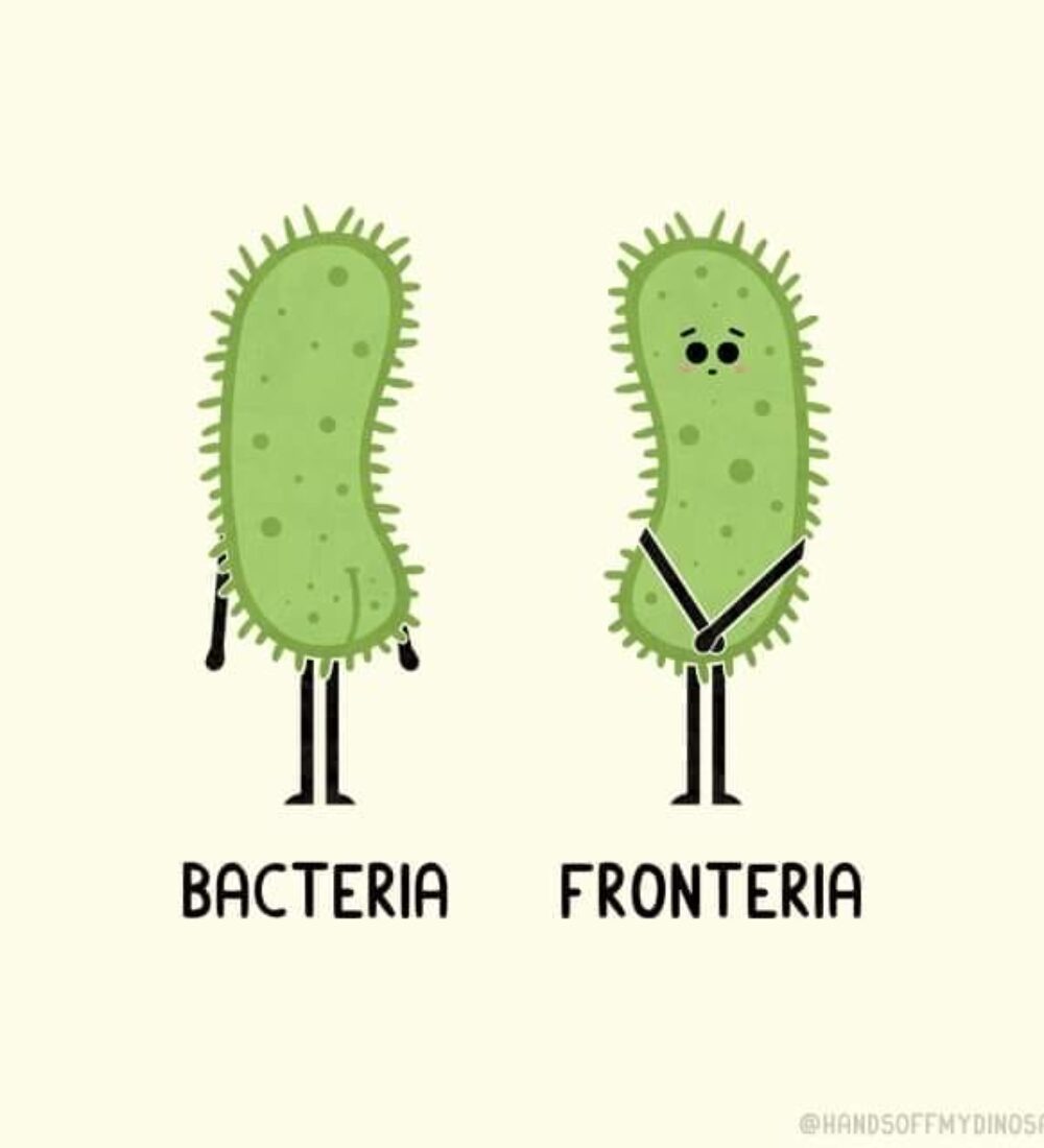 Intestine deprimate: rolul bacteriilor microbiomului intestinal în apariția și tratamentul depresiei