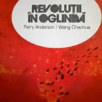 ,,Revoluții în oglindă’’/oglinzile lui Perry Anderson și Wang Chaohua