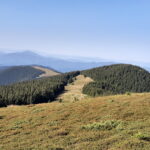 Munții Nemirei: Pasul Oituz – Vârfurile Ghepar, Capul Vitei, Șandru Mare, Nemira Mare, Farcu  Mare – Poiana Uzului
