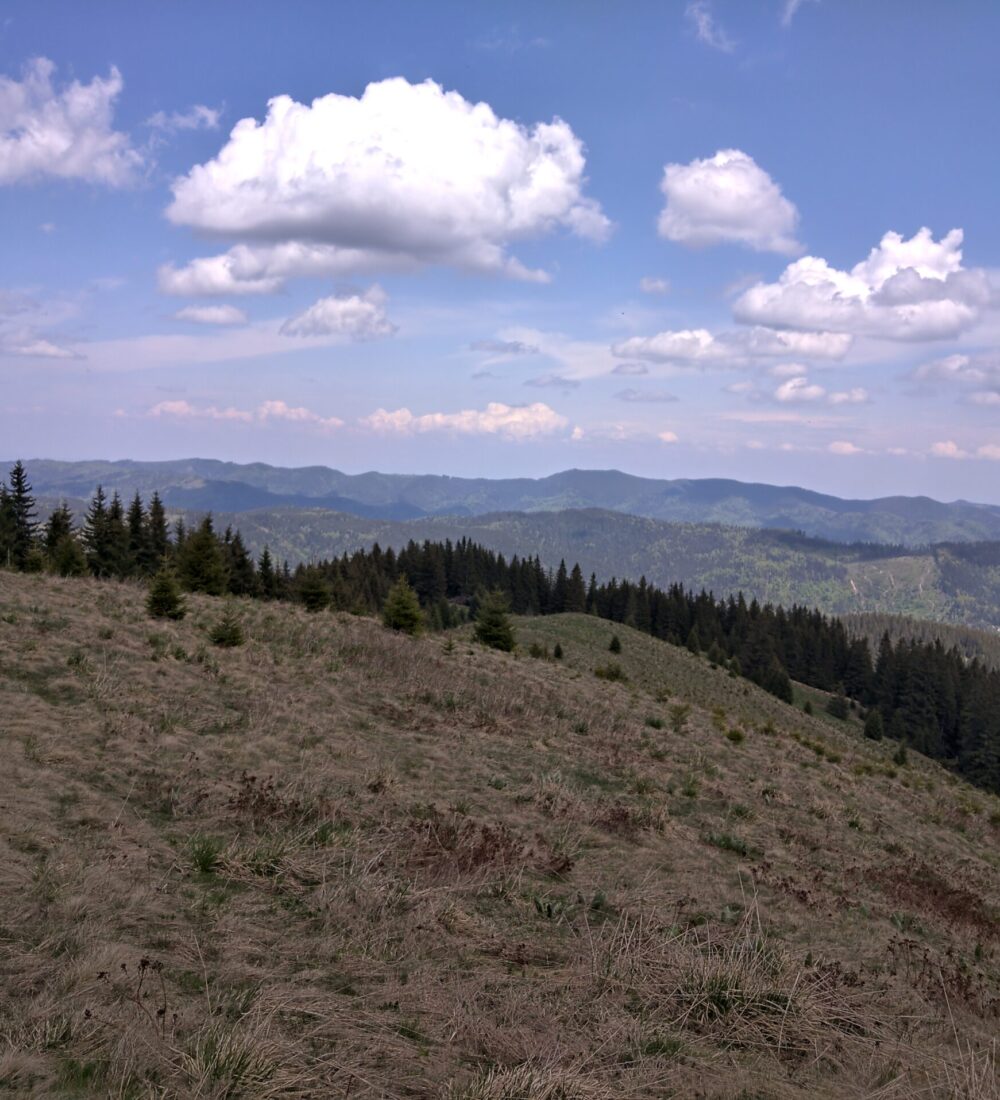 Munții Tarcău: culmea principală din Palanca, peste Grindușu și Tarcăul Mare până la Cabana Goșman