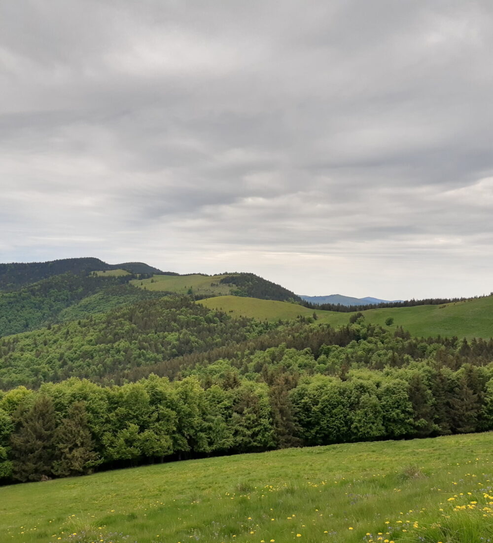 Munții Vrancei-Brețcu: Pasul Mușat-Lujerul-Cobert-Zârna-Zăbala