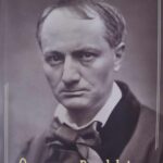 ,,O vară cu Baudelaire’’ și Compagnon