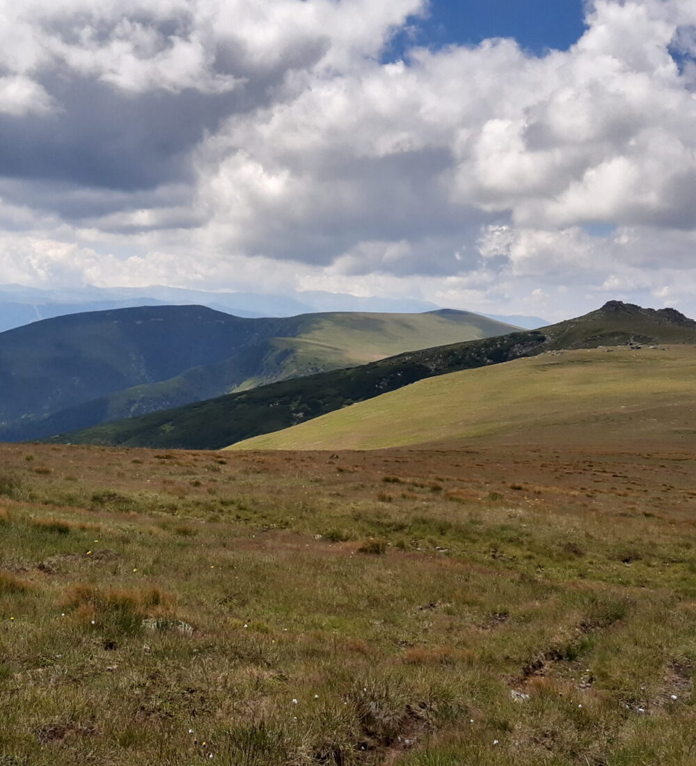 Munții Lotrului: Pasul Tărtărău-Piatra Albă-Cristești-Șteflești-Negovanu Mare-Sădurel