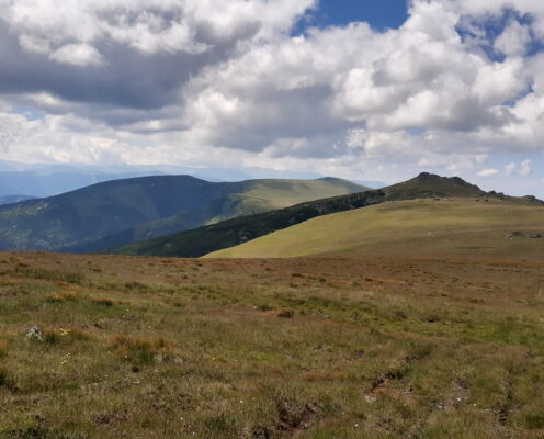 Munții Lotrului: Pasul Tărtărău-Piatra Albă-Cristești-Șteflești-Negovanu Mare-Sădurel