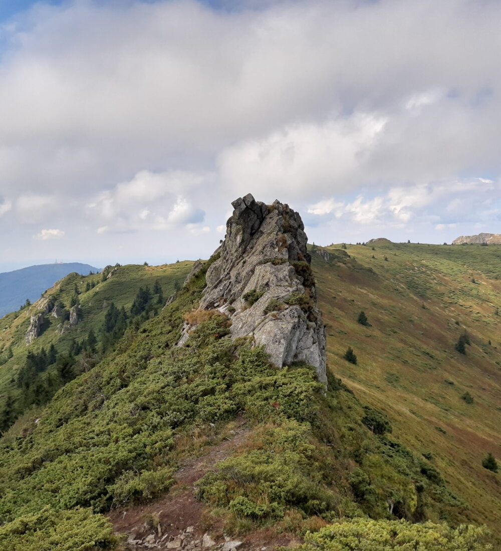 Munții Gutâi-Igniș: Pârtia Cavnic-Gutâiul Mare-Igniș-Chiuzbaia