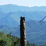 Munții Vrancei: Oituz-Zboina Verde-Zboina Neagră-Soveja