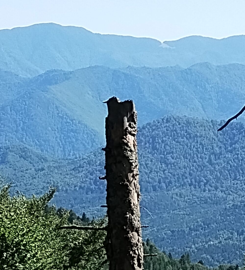 Munții Vrancei: Oituz-Zboina Verde-Zboina Neagră-Soveja