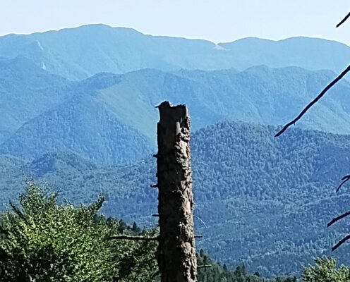 Munții Vrancei: Oituz-Zboina Verde-Zboina Neagră-Soveja