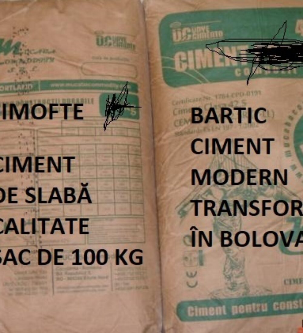 Dimofte, Bartic: doi saci de ciment pe spatele învățământului românesc