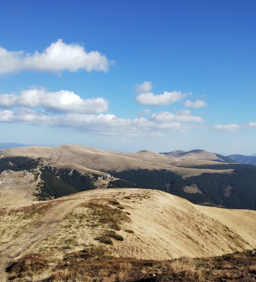 Munții Latoriței: Pârtia Transalpina-Vârful Puru-Vârful Fratoșteanu Mare-DN7A