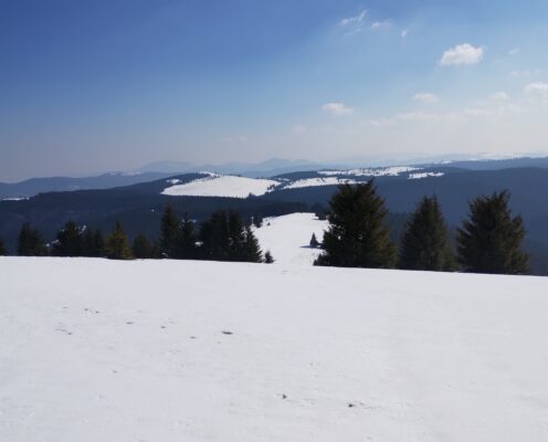 Munții Ciucului: Lunca de Jos-Vârful Tatălui (Apahavas)-Valea Boroș