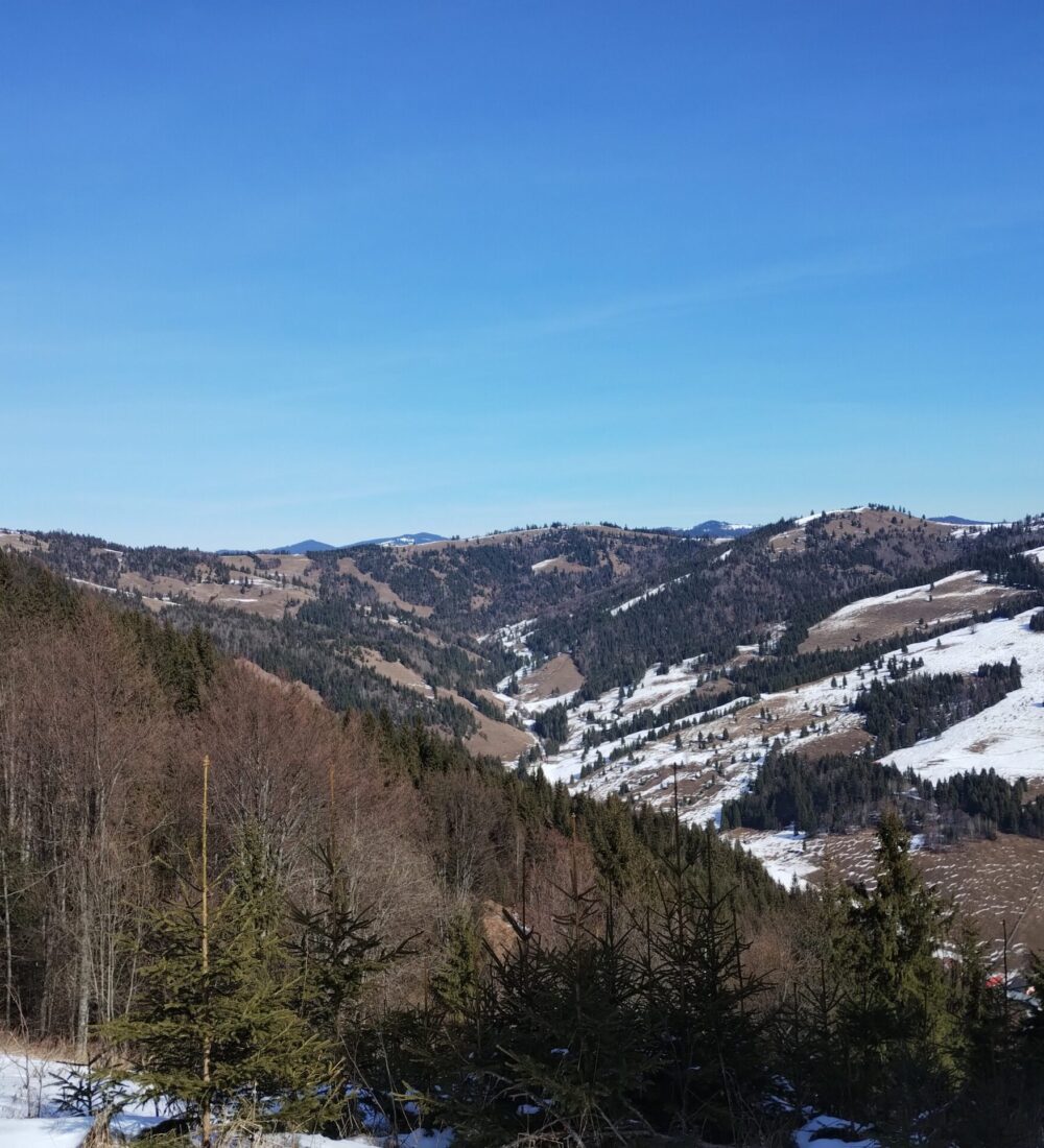 Munții Tarcăului: Valea Rece-Orodicu de Sus-Orodicu de Jos-Făgetu de Sus