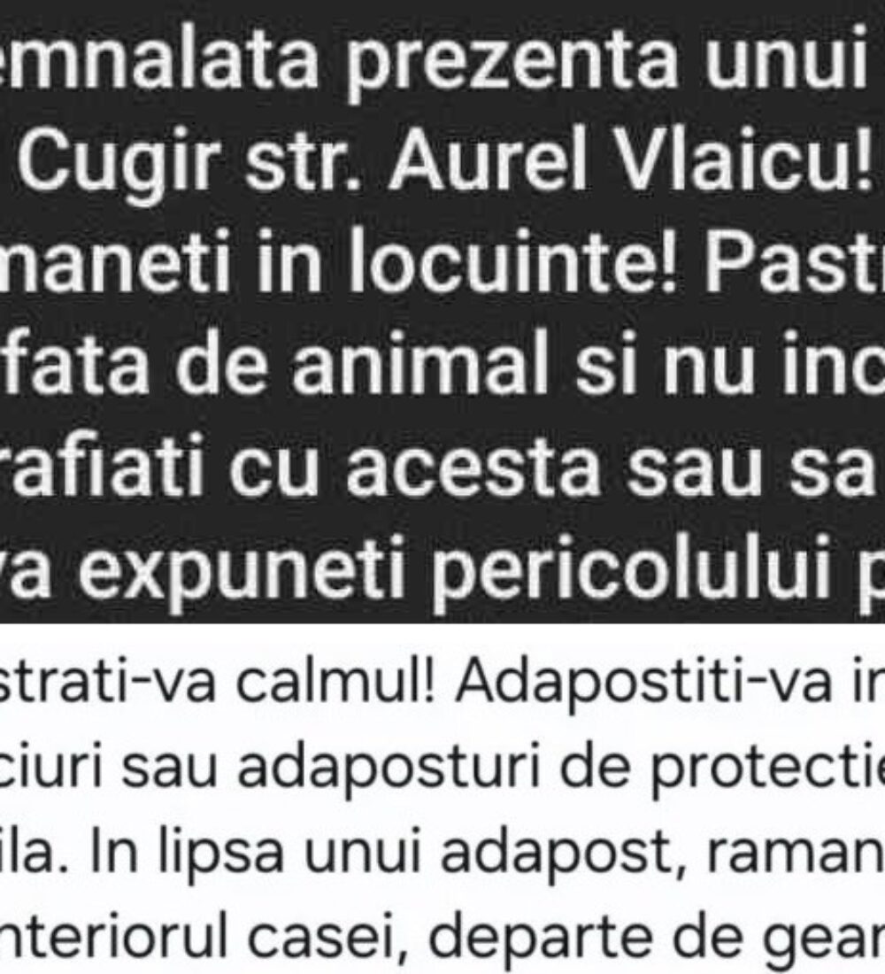 Statul român versus urșii carpatini, ruși, ucraineni sau cum (nu) își protejează guvernarea cetățenii