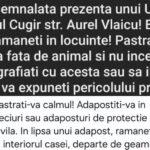 Statul român versus urșii carpatini, ruși, ucraineni sau cum (nu) își protejează guvernarea cetățenii