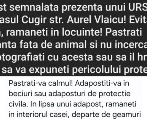 Statul român versus urșii carpatini, ruși, ucraineni sau cum (nu) își protejează guvernarea cetățenii